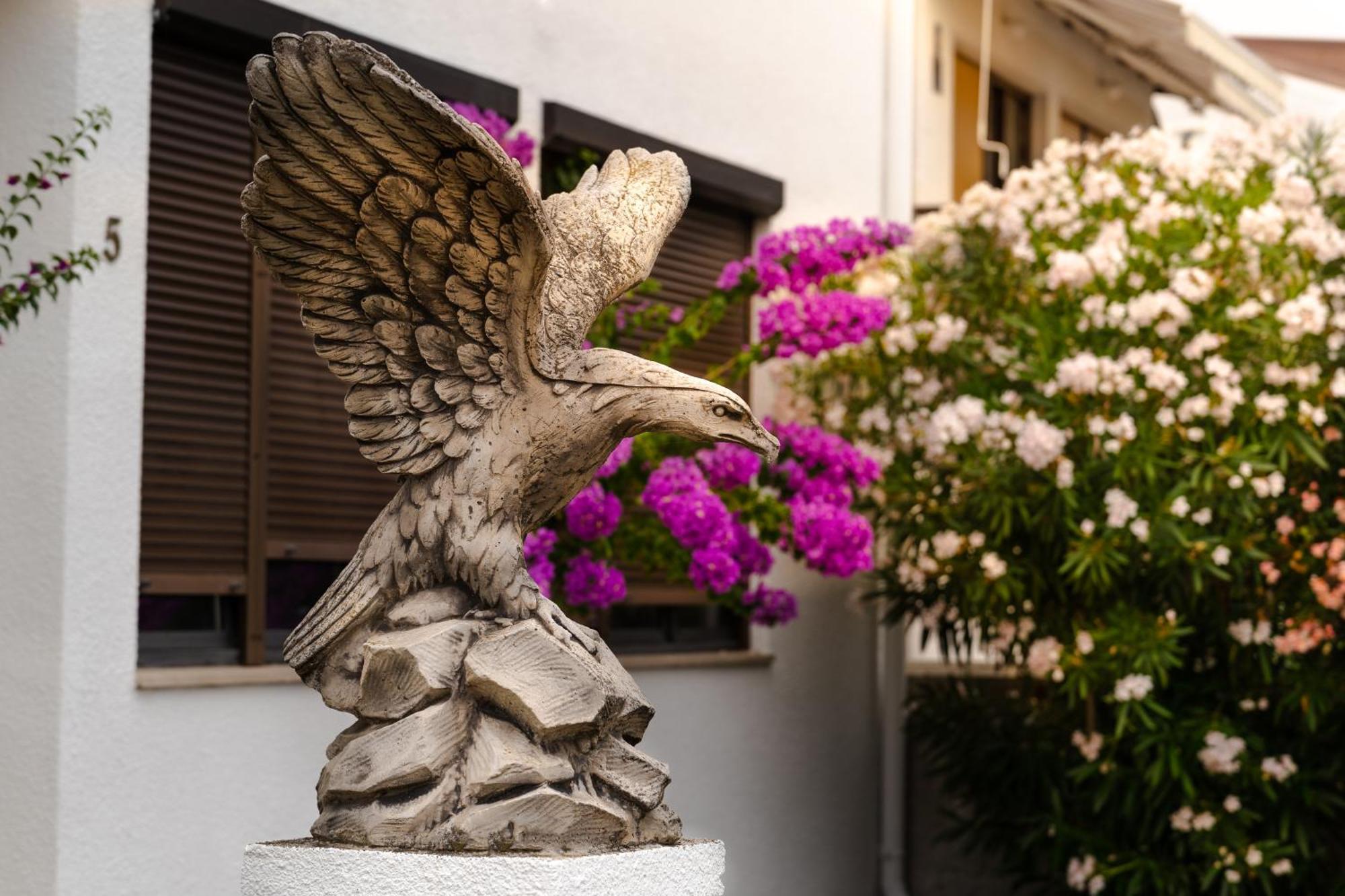 Apartments Dida Sime Stari Grad Kültér fotó