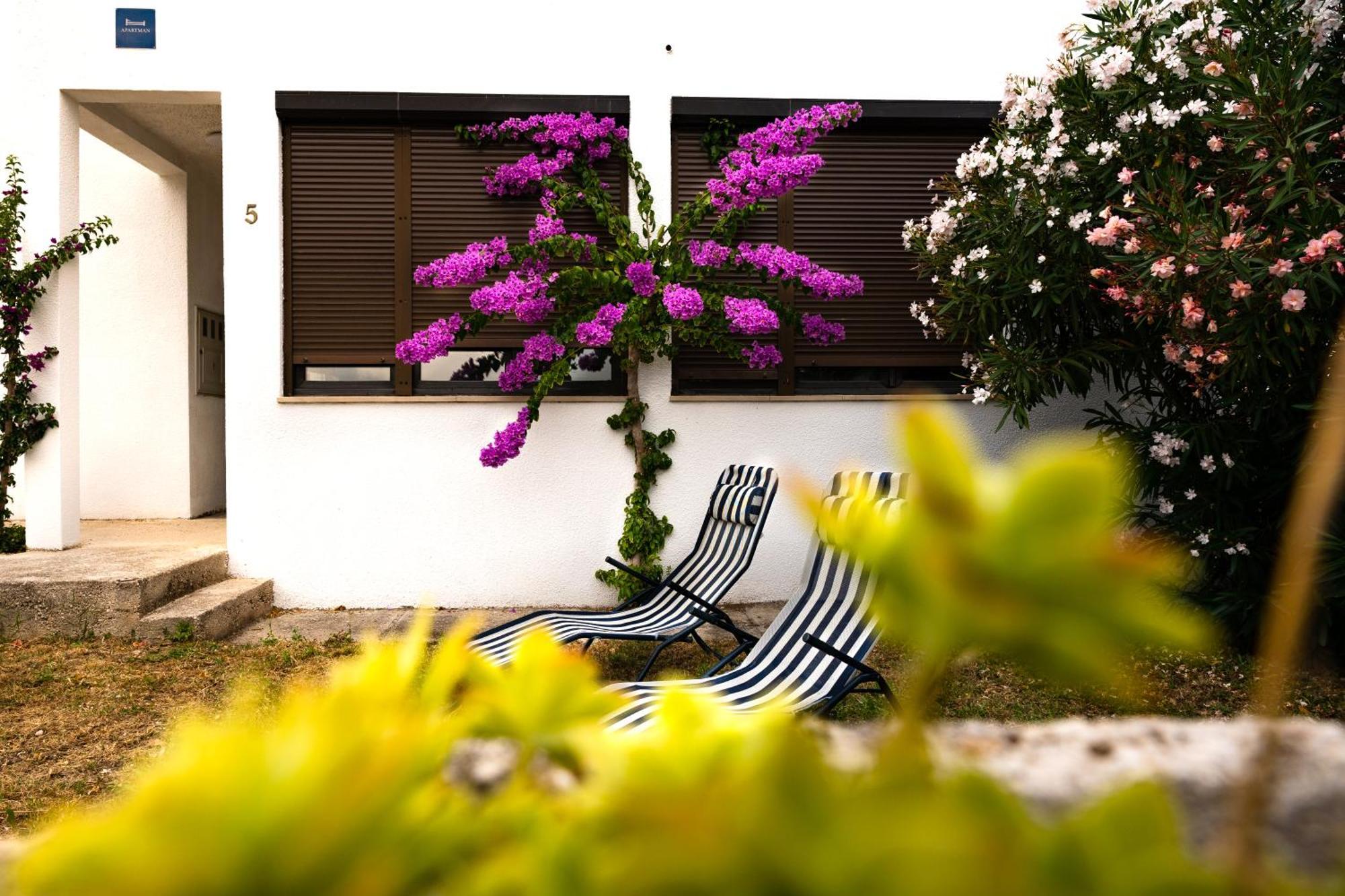 Apartments Dida Sime Stari Grad Kültér fotó